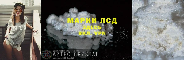 прущие грибы Нефтекумск