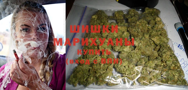 прущие грибы Навашино