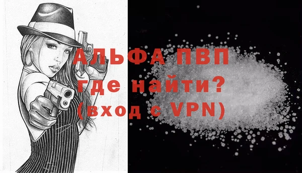 прущие грибы Навашино