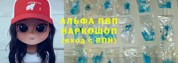 прущие грибы Навашино