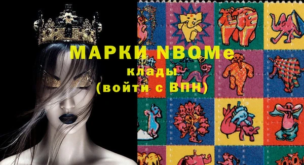 хмурый Нея