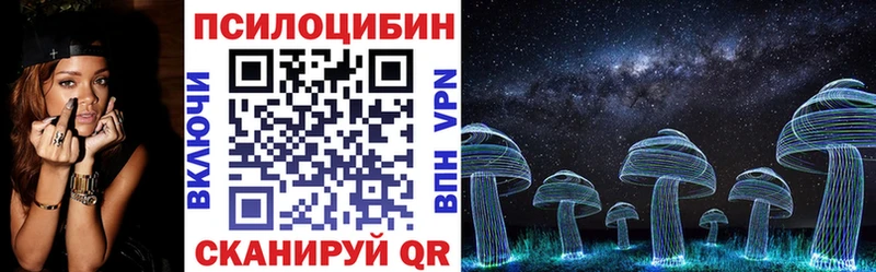 Галлюциногенные грибы Psilocybe  как найти наркотики  Пласт 