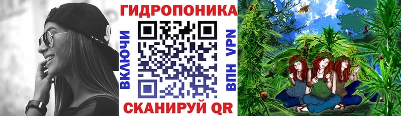Шишки марихуана OG Kush Пласт